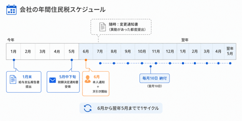  住民税の年間処理スケジュール（1月給与支払報告書から翌月10日納付までの年カレンダー）