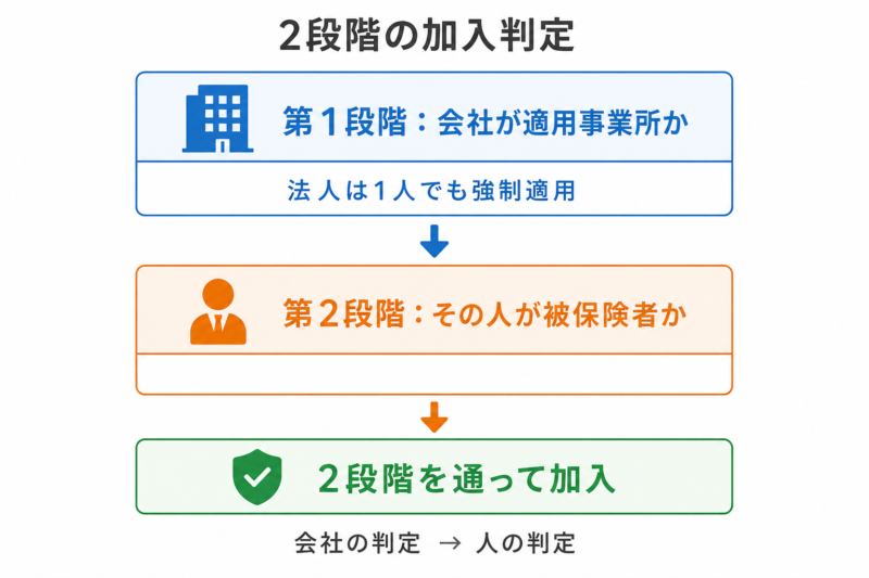 社会保険の加入を会社と人の2段階で判定する流れを示す図