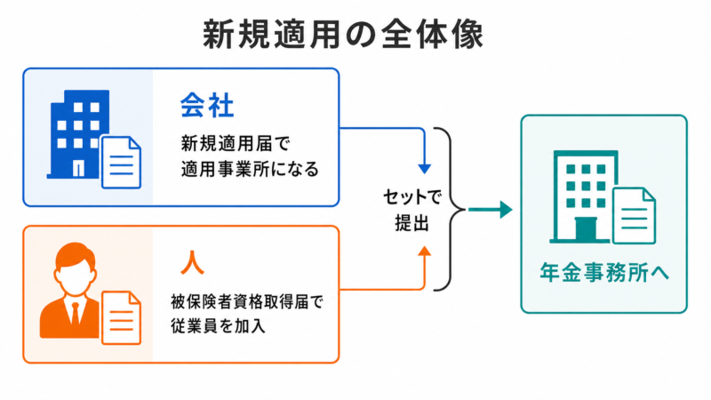 会社設立時の社会保険新規適用の全体像（会社と人の加入）を示す図