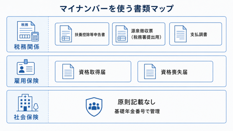 税務・雇用保険・社会保険でマイナンバーを使う書類を分野別に整理した図