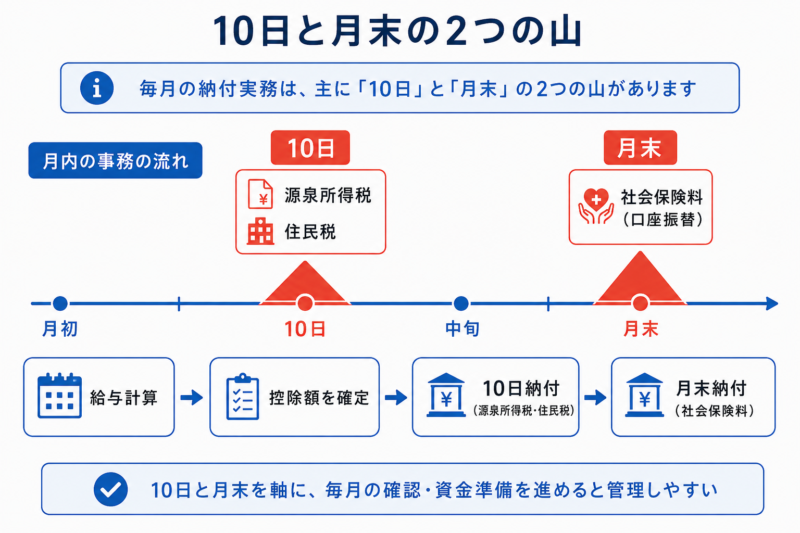 毎月の納付の2つの山（10日と月末）を示すタイムライン
