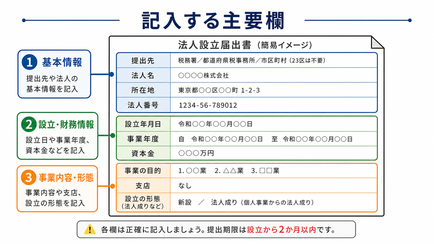 法人設立届出書で記入する主要欄を整理した図